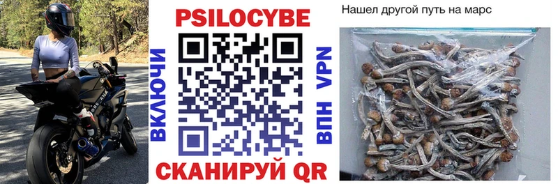 купить наркотики цена  Камышин  гидра   Галлюциногенные грибы Cubensis 
